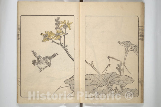 Art Print : Okada Kanrin - Kanrin Picture Album (Kanrin gafu) - Japan : Vintage Wall Art