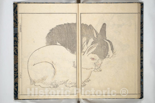 Art Print : Kawamura Kih? - Kih? Picture Album (Kih? gafu) - Japan : Vintage Wall Art