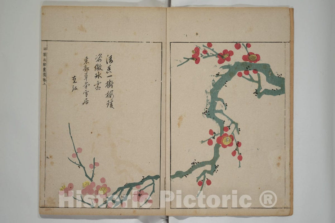 Art Print : ooka Shunboku  - A Collection of Lively Sketches of the Ming dynasty : Vintage Wall Art