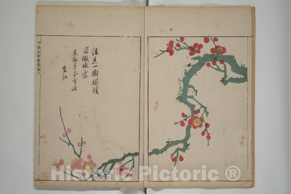 Art Print : ooka Shunboku  - A Collection of Lively Sketches of the Ming dynasty : Vintage Wall Art