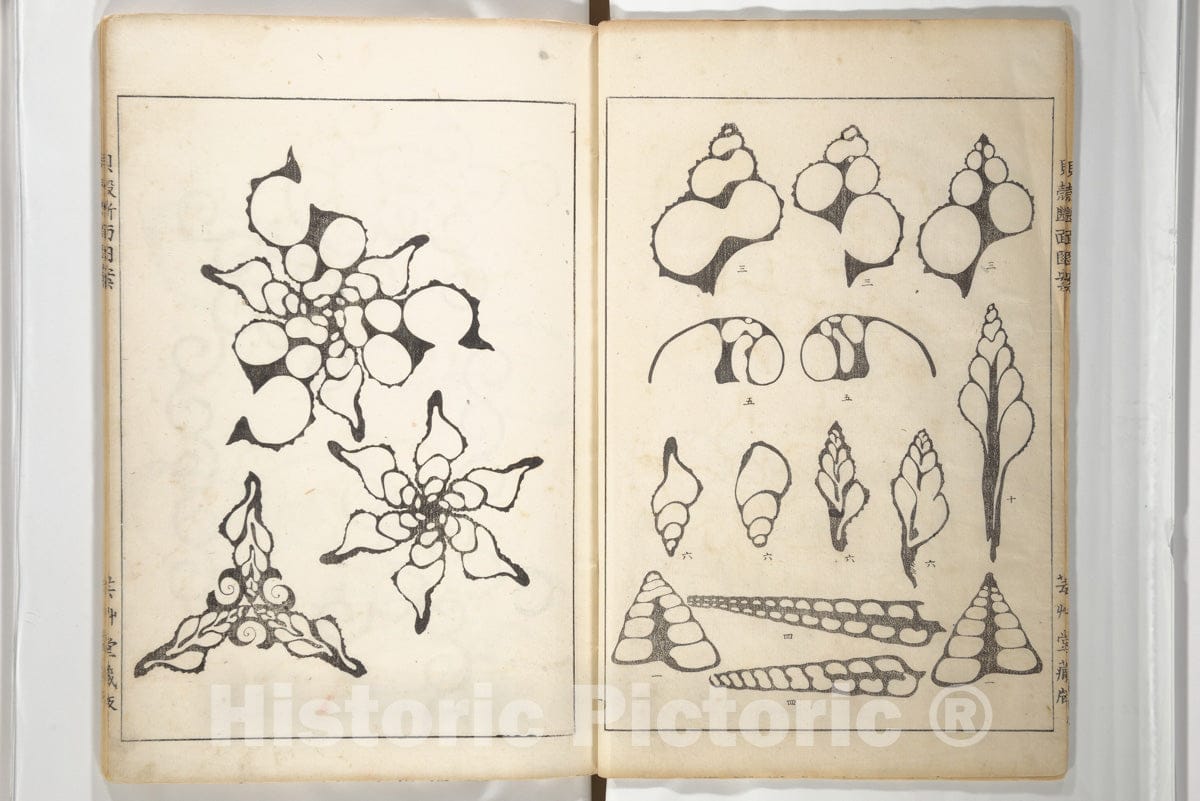 Art Print : Yoichir? Hirase - Shell Motifs (Kaigara dammen zuan) - Japan - Taish? Period (1912–26) : Vintage Wall Art