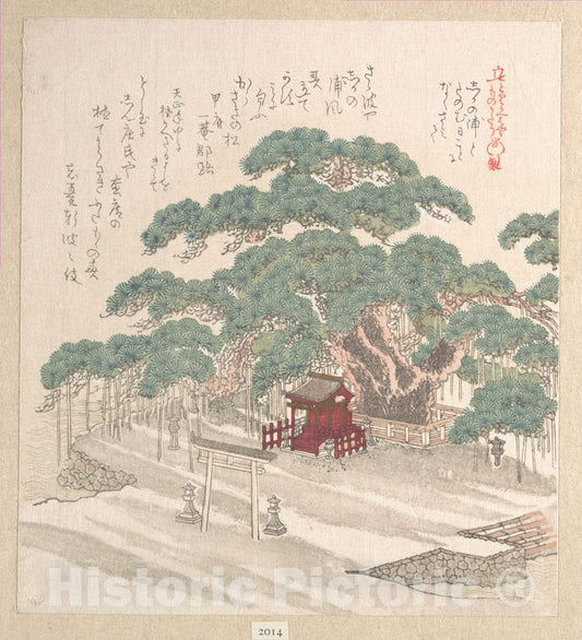 Art Print : Kubo Shunman - Shrine Under a Big Pine Tree - Japan : Vintage Wall Art