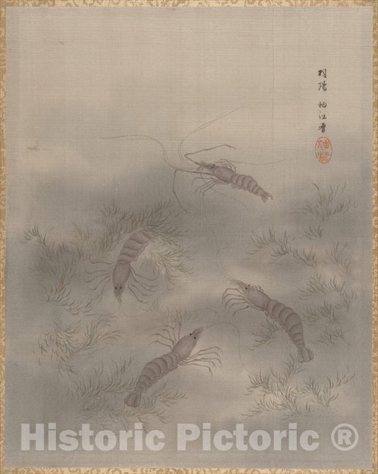 Art Print : Seki Sh?k? - Cray Fish - Japan : Vintage Wall Art
