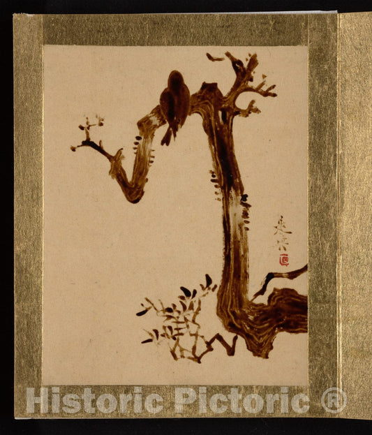 Art Print : Shibata Zeshin - Crow on Tree - Japan : Vintage Wall Art