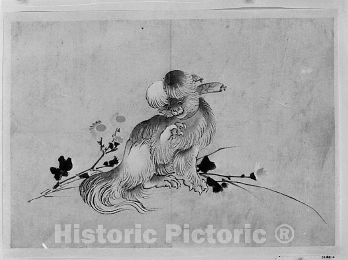 Art Print : Hokusai School - Pekingese - Japan : Vintage Wall Art