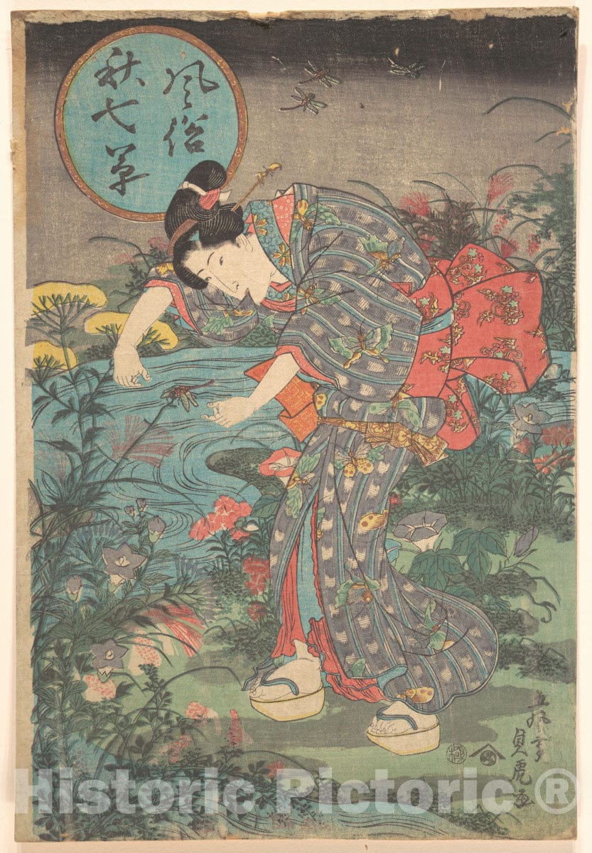 Art Print : Toyohara Sadatora - Fashionable Seven Autumn Plants (F?zoku AKI nanakusa) - Japan : Vintage Wall Art