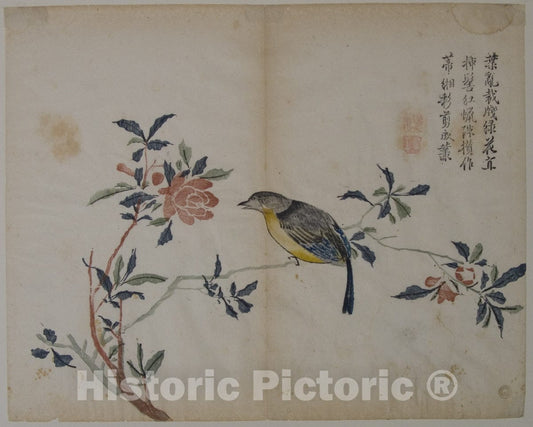 Art Print : Bird on a Flowering Branch : Vintage Wall Art