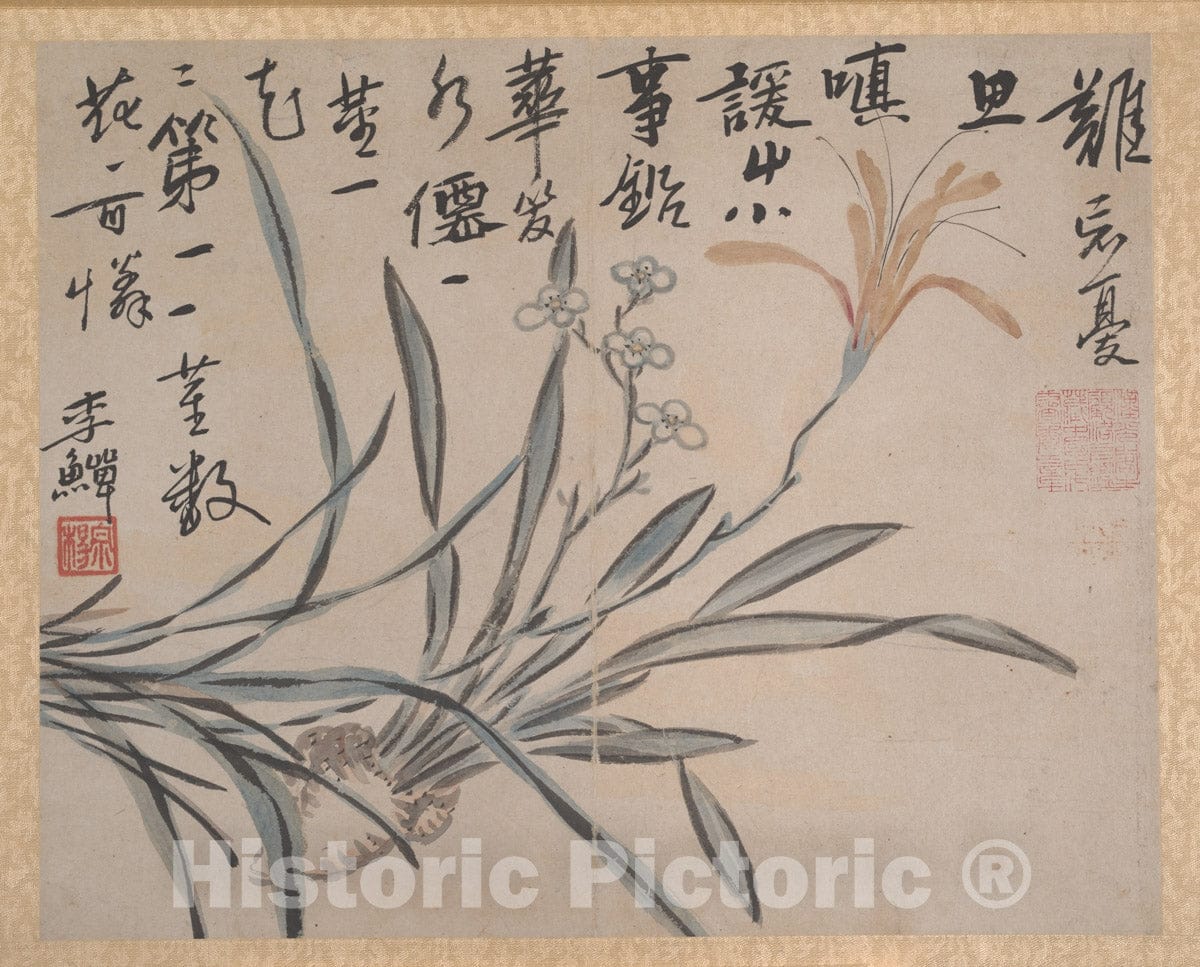 Art Print : Unidentified Artist - Plants and Vegetables - China : Vintage Wall Art