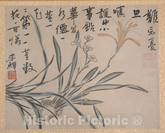 Art Print : Unidentified Artist - Plants and Vegetables - China : Vintage Wall Art