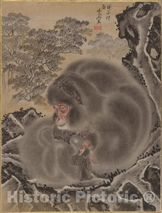 Art Print : Kawanabe Ky?sai - Monkeys - Japan : Vintage Wall Art