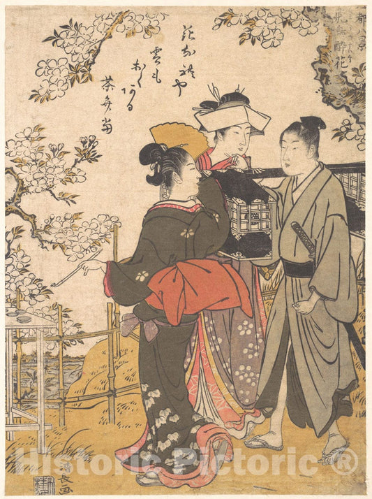Art Print : Torii Kiyonaga - Drunk with Flowers - Japan : Vintage Wall Art