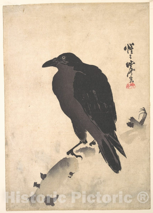 Art Print : Kawanabe Ky?sai - Crow Resting on Wood Trunk - Japan : Vintage Wall Art