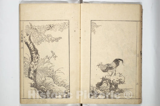 Art Print : S? Shiseki - S? Shiseki Picture Album (S? Shiseki gafu) - Japan : Vintage Wall Art