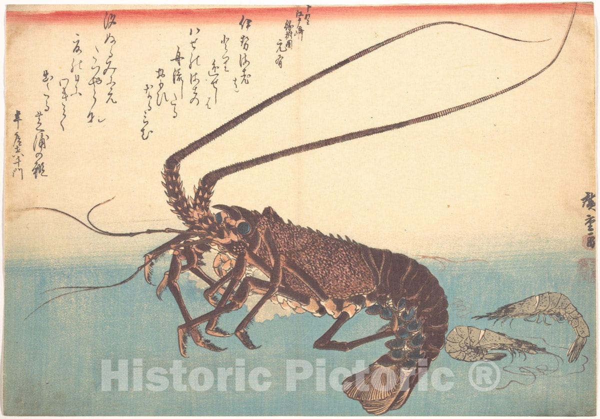 Art Print : Utagawa Hiroshige - Ise-EBI and Shiba-EBI, from The Series Uozukushi (Every Variety of Fish) - Japan : Vintage Wall Art