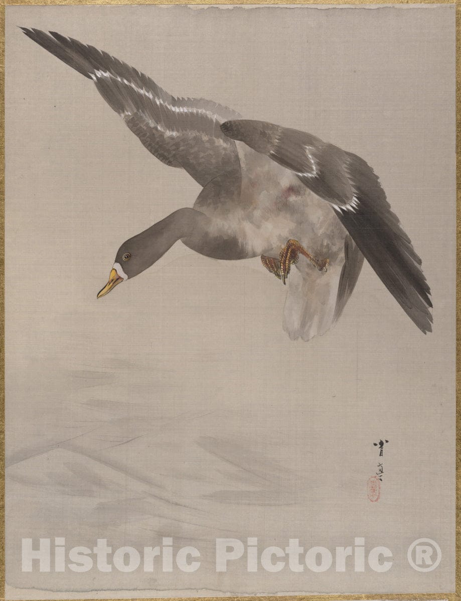 Art Print : Watanabe Seitei - Duck - Japan : Vintage Wall Art