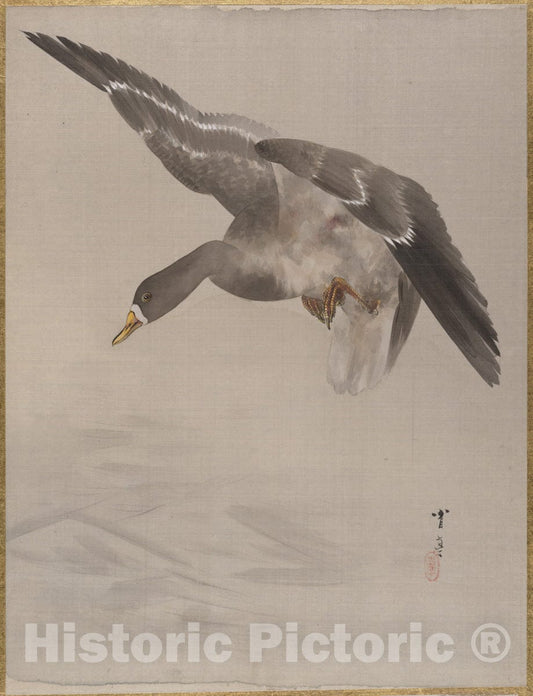 Art Print : Watanabe Seitei - Duck - Japan : Vintage Wall Art