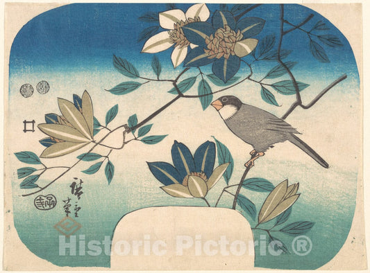 Art Print : Utagawa Hiroshige - Clematis and Bird - Japan : Vintage Wall Art