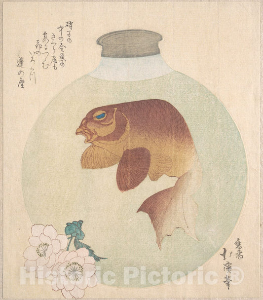 Art Print : Totoya Hokkei - Gold-Fish in a Glass Bottle - Japan : Vintage Wall Art