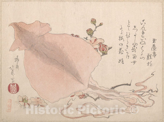 Art Print : Teisai Hokuba - Dried Cuttle-Fish and Plum Blossoms - Japan : Vintage Wall Art