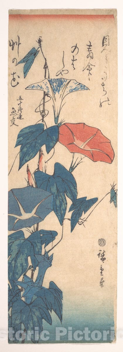 Art Print : Utagawa Hiroshige - Morning Glories  v.2 : Vintage Wall Art