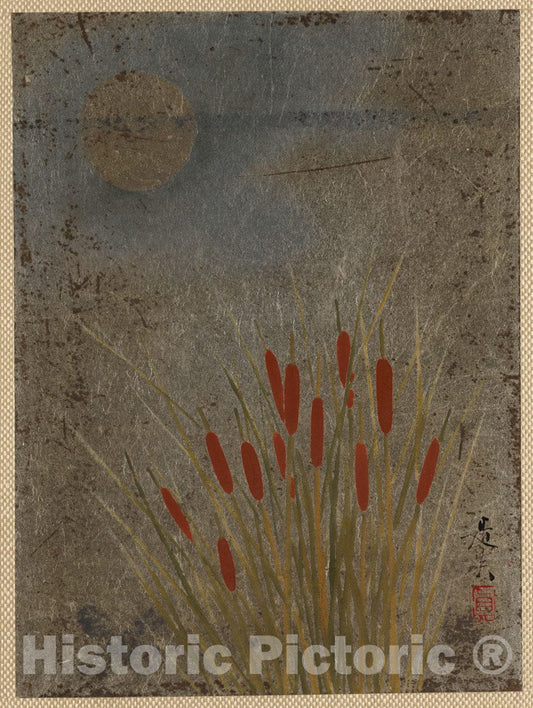 Art Print : Shibata Zeshin - Cat Tails and Moon - Japan : Vintage Wall Art