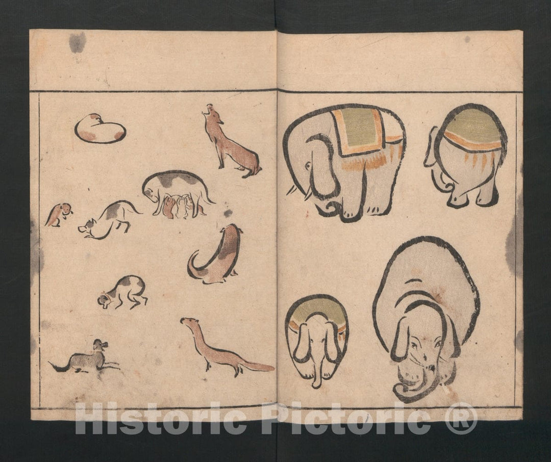 Art Print : Kuwagata Keisai - Abbreviated Drawing Styles for Birds and Animals (Ch?j? ryakuga Shiki) - Japan : Vintage Wall Art