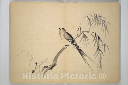 Art Print : Maruyama ?kyo - ?ky? Picture Album (?ky? gafu) - Japan : Vintage Wall Art