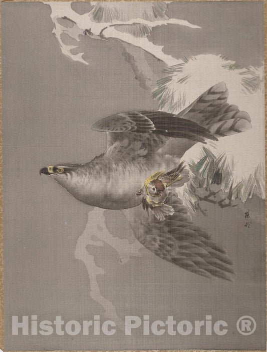 Art Print : Okada Baison - Hawk Holding a Small Bird - Japan : Vintage Wall Art