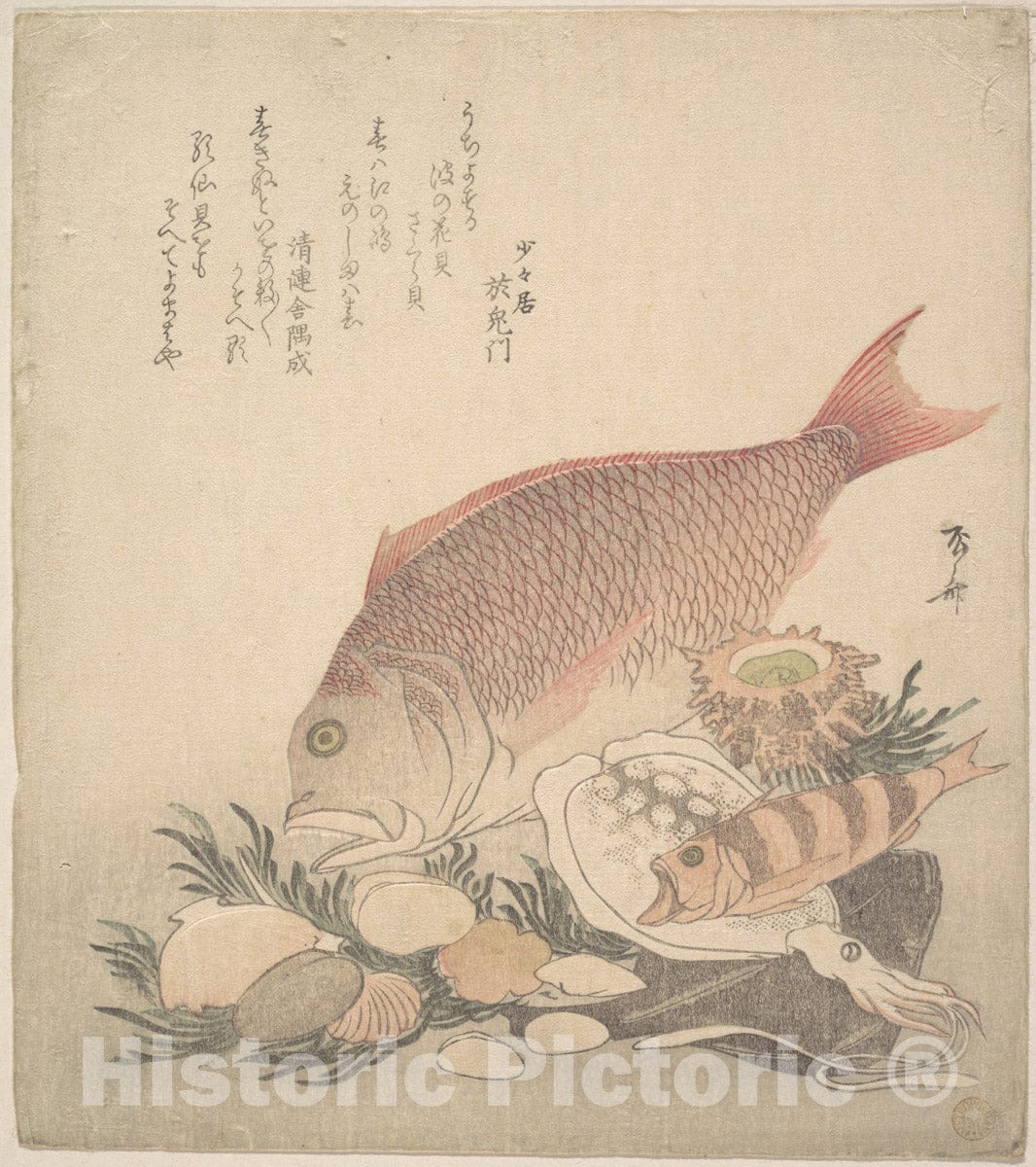 Art Print : Ry?ry?kyo Shinsai - Large and Small Fish Swimming Among Shells and Moss at The Bottom of The Sea - Japan : Vintage Wall Art