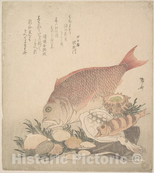 Art Print : Ry?ry?kyo Shinsai - Large and Small Fish Swimming Among Shells and Moss at The Bottom of The Sea - Japan : Vintage Wall Art