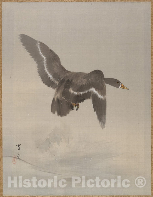 Art Print : Watanabe Seitei - Flying Goose - Japan : Vintage Wall Art