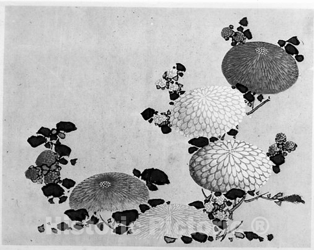Art Print : Hokusai School - Chrysanthemums - Japan : Vintage Wall Art