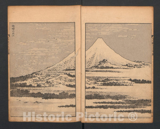 Art Print : Katsushika Hokusai - Mount Fuji of The Bamboo Grove, from One Hundred Views of Mount Fuji - Japan : Vintage Wall Art