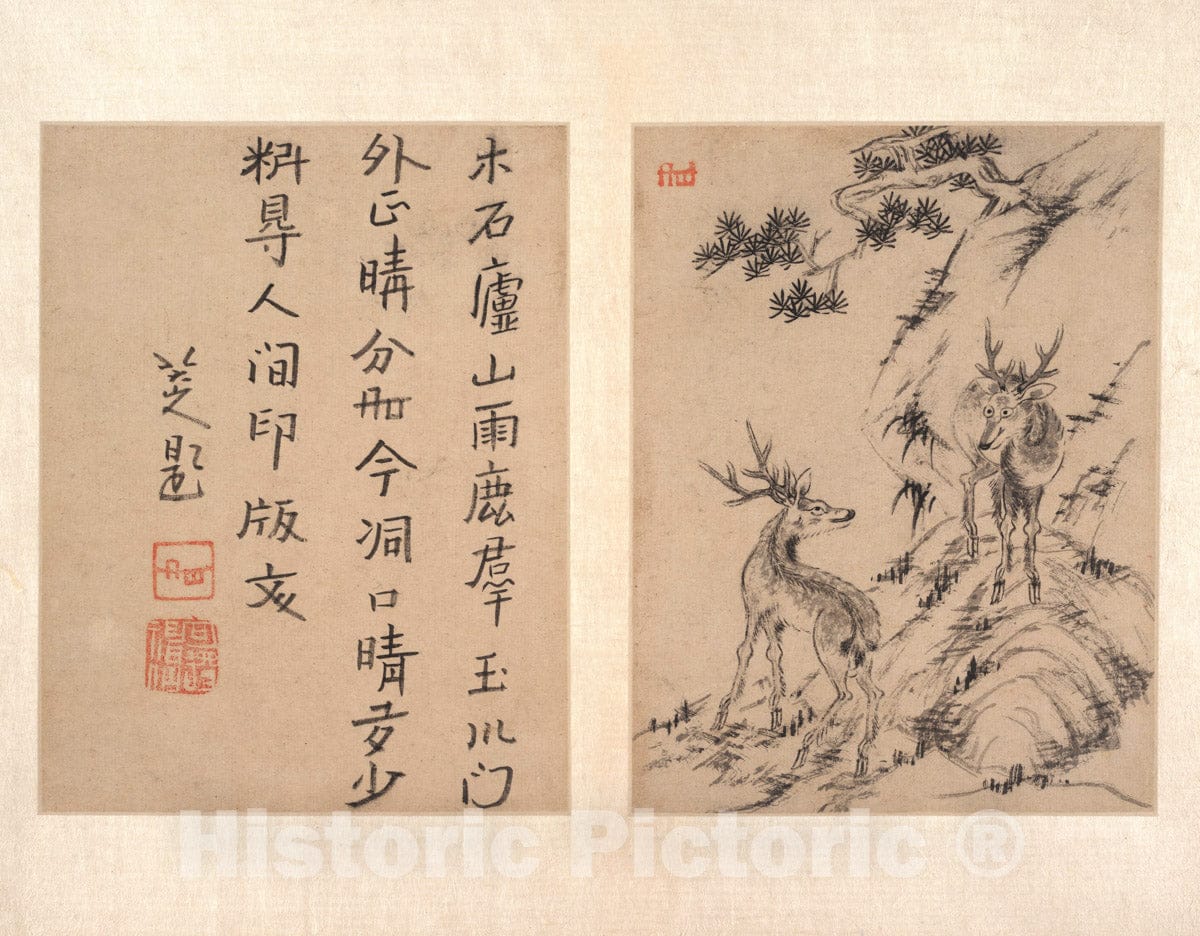 Art Print : Bada Shanren (Zhu Da) - - China : Vintage Wall Art