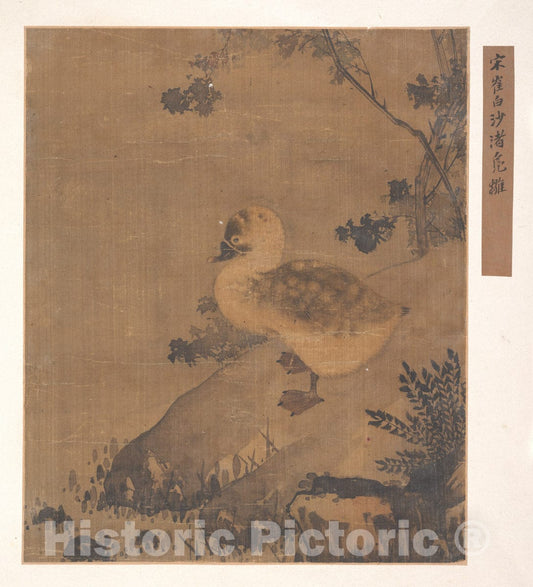 Art Print : Unidentified Artist - Wild Duckling on Sandy Beach - China - 20th Century : Vintage Wall Art