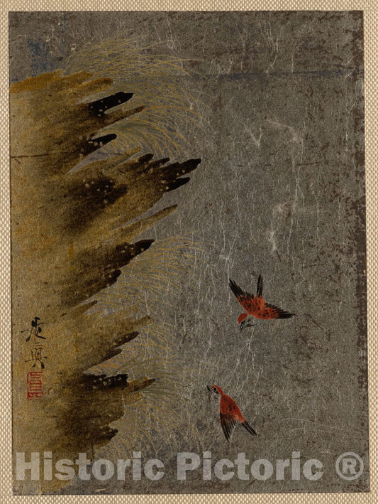 Art Print : Shibata Zeshin - Birds and Jutting Rocks - Japan : Vintage Wall Art