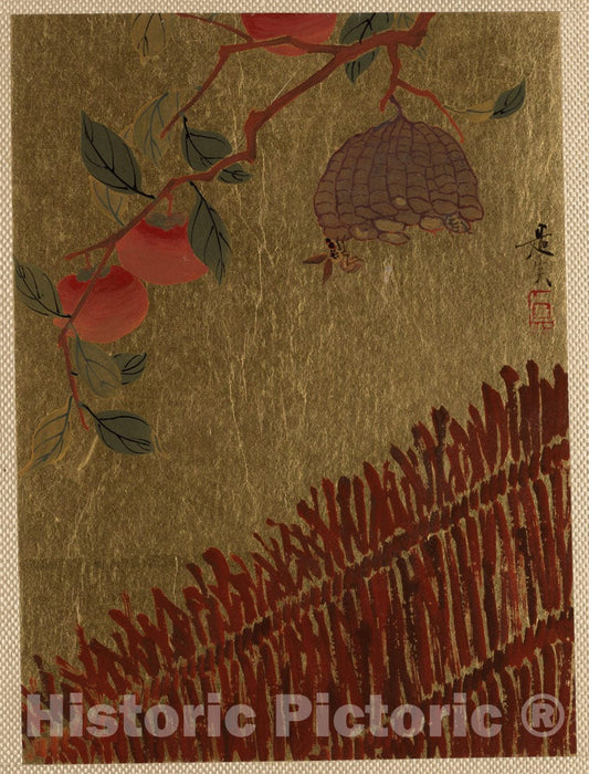 Art Print : Shibata Zeshin - Persimmons Branch and Wasp Nest Above a Hedge - Japan : Vintage Wall Art