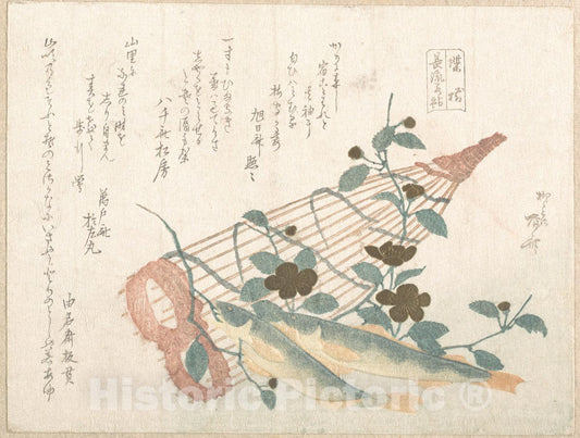 Art Print : Ry?ry?kyo Shinsai - Sweet Fishes of The Nagara River, with Baskets and Flowers - Japan : Vintage Wall Art