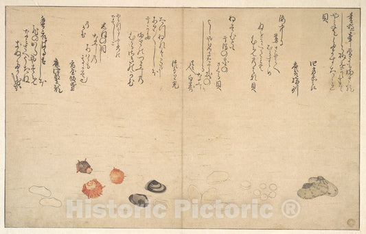 Art Print : Kitagawa Utamaro - Shells Under Water - Japan v.4 : Vintage Wall Art