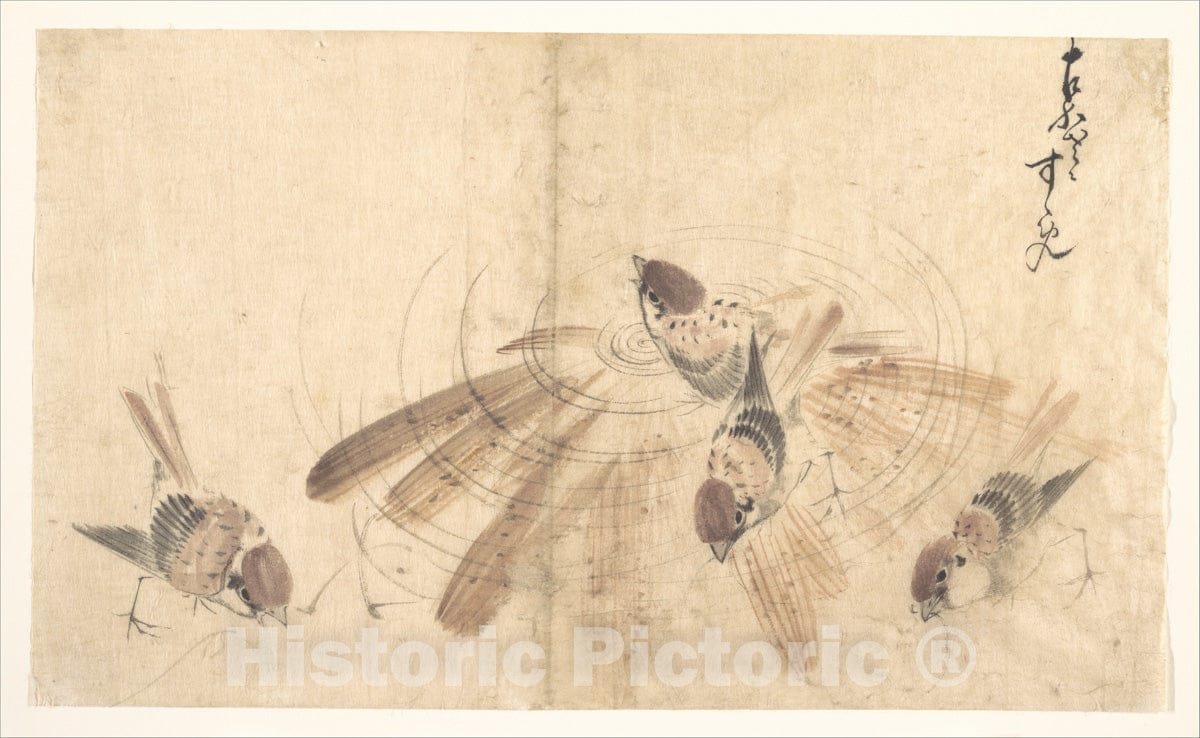 Art Print : Katsushika Hokusai - Sparrows - Japan : Vintage Wall Art