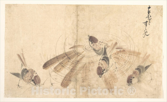 Art Print : Katsushika Hokusai - Sparrows - Japan : Vintage Wall Art