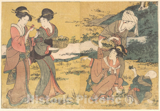 Art Print : Kitagawa Utamaro - Girls Picking Green Leaves, from The Illustrated Book Flowers of The Four Seasons - Japan : Vintage Wall Art