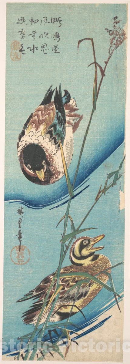 Art Print : Utagawa Hiroshige - Mallard Ducks and Snow-covered Reeds : Vintage Wall Art