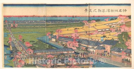 Art Print : Utagawa (Gountei) Sadahide - View of The Yokohama Pleasure Quarters of Kanagawa at Cherry Blossom Time - Japan : Vintage Wall Art