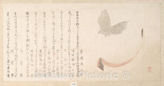 Art Print : Kubo Shunman - Flower-Vase of Horn and a Butterfly - Japan : Vintage Wall Art