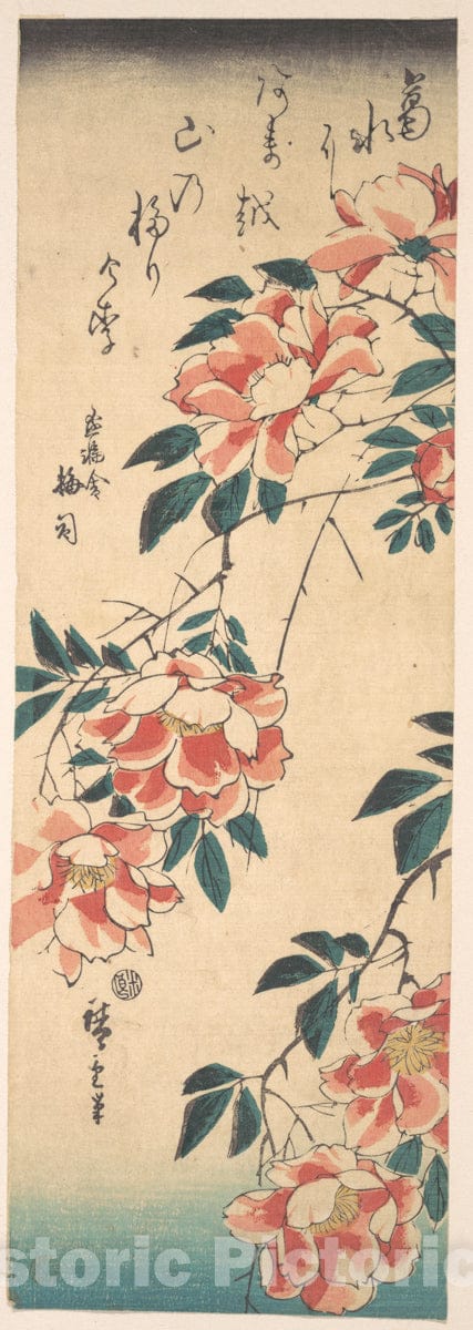 Art Print : Utagawa Hiroshige - Roses : Vintage Wall Art