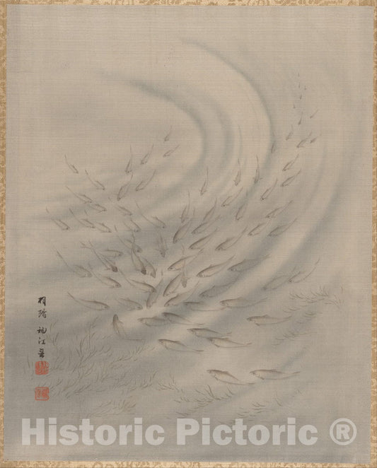 Art Print : Seki Sh?k? - Small Fishes - Japan : Vintage Wall Art