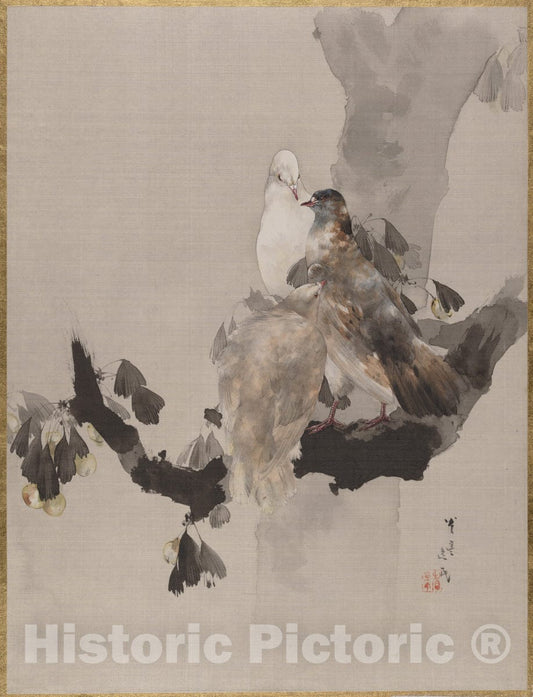 Art Print : Watanabe Seitei - Pigeons in a Tree - Japan : Vintage Wall Art