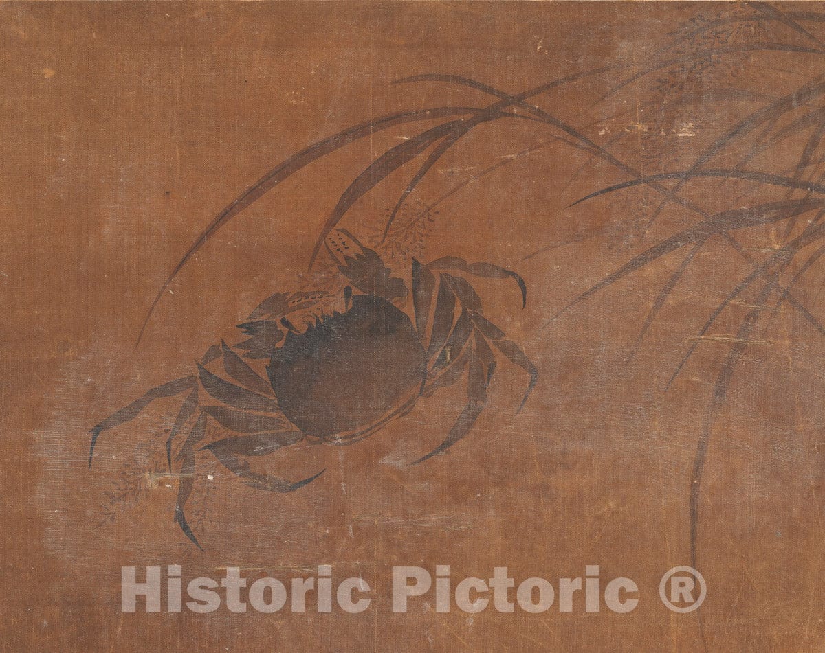 Art Print : Unidentified Artist - Crabs and Reeds - China : Vintage Wall Art