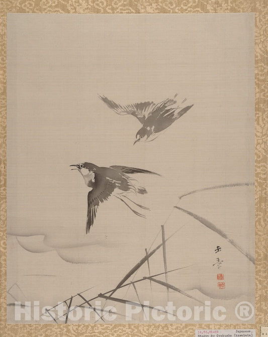 Art Print : Kawabata Gyokush? - Small Birds and Bamboo - Japan : Vintage Wall Art